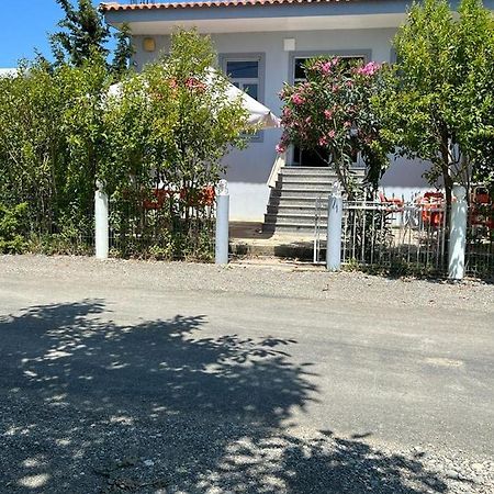 Guest House Andersoni Dhoma Plazhi Andersoni Shen Ded Gjoni Екстериор снимка